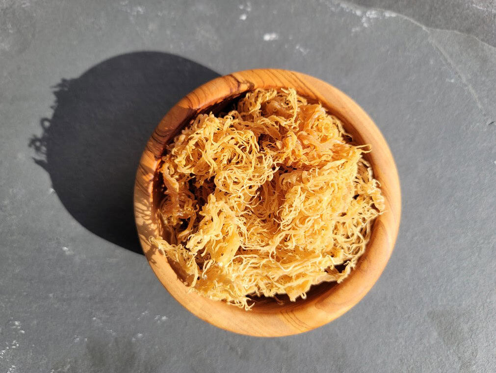Golden dried sea moss in a wooden bowl on gray surface, healthy superfood supplement.